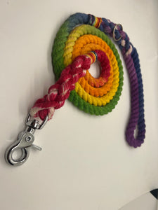 Rainbow Rope Dog Leash