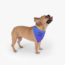 Load image into Gallery viewer, Corgis For Choice Pet Bandana