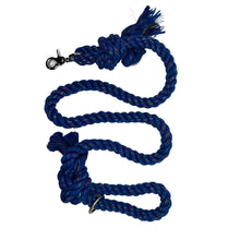 Load image into Gallery viewer, Blue Sparkle Rope Dog Leash