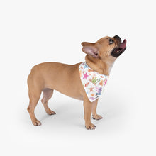 Load image into Gallery viewer, Beach Bum Pet Bandana