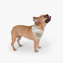 Load image into Gallery viewer, Goldens for Gender Equality Pet Bandana
