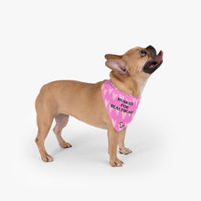 Load image into Gallery viewer, Huskies For Healthcare Pet Bandana