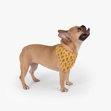 Load image into Gallery viewer, Iced Coffee Pet Bandana