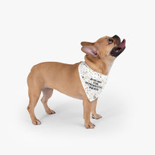 Load image into Gallery viewer, Bitches for Reproductive Rights Pet Bandana