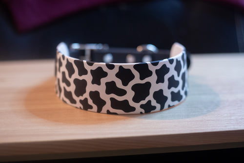 Cow Print Dog Collar