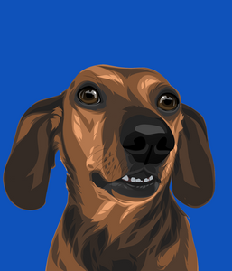 Pet Portrait - DIGITAL