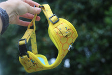 Load image into Gallery viewer, Dog Harness - Bumble Bees