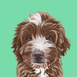 Pet Portrait - DIGITAL