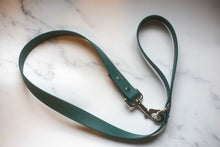 Load image into Gallery viewer, Biothane Dog Lead
