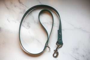 Custom Biothane Dog Leash