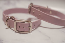 Load image into Gallery viewer, Biothane Buckle Dog Collar