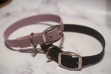 Load image into Gallery viewer, Biothane Buckle Dog Collar