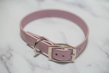 Load image into Gallery viewer, Biothane Buckle Dog Collar