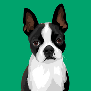 Pet Portrait - DIGITAL