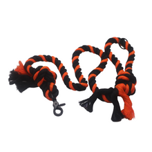 Load image into Gallery viewer, Halloween Stripes Leash