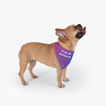 Load image into Gallery viewer, F*ck The Patriarchy Dog Bandana