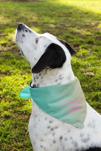 Canines For Choice Pet Bandana