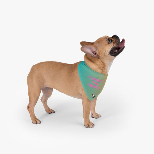 Canines For Choice Pet Bandana