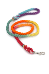 Rainbow Rope Dog Leash - Kai's Ruff Wear