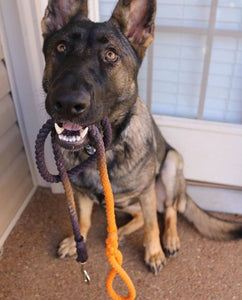 Black and Orange Ombre Rope Dog Leash - Kai's Ruff Wear