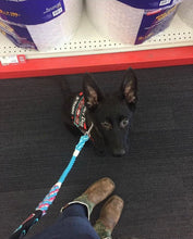 Load image into Gallery viewer, Hands Free Multifunctional Dog Leash