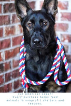 Load image into Gallery viewer, American Knotted Rope Dog Leash